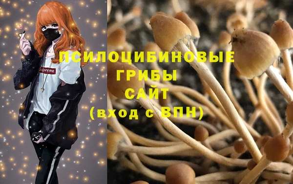 мдпв Арсеньев