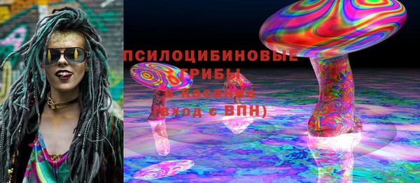 мдпв Арсеньев